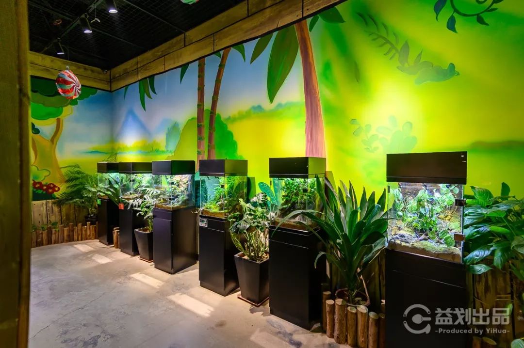 大连么么哒动物园 (大连小众动物园)