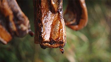 冬季腌菜的做法大全,冬腌菜的腌制过程