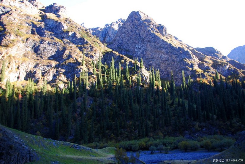 狼c调简谱教唱,狼c