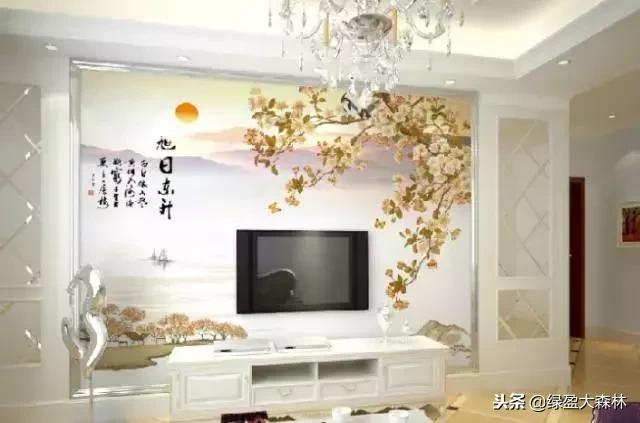 简约风格硅藻泥颜色搭配效果图,硅藻泥装修效果图大全大图