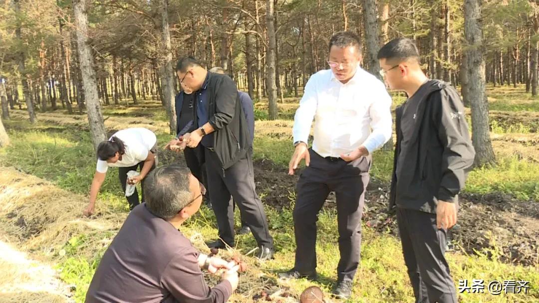 齐齐哈尔讷河县委书记,齐齐哈尔讷河市市委书记