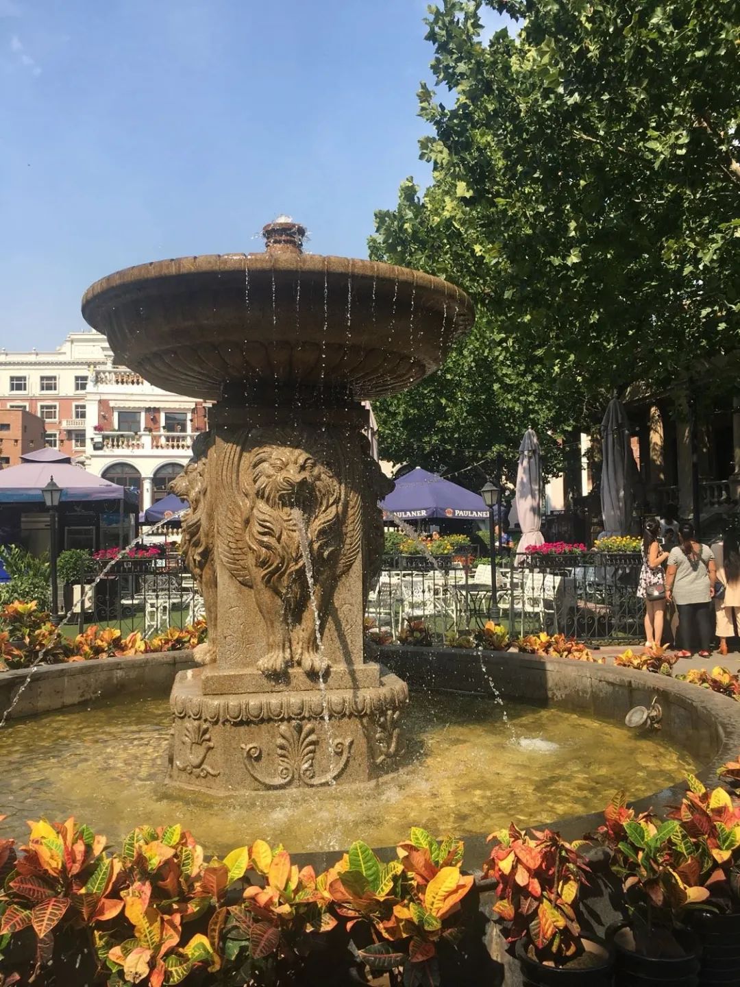 求求你，别再误会和平人了