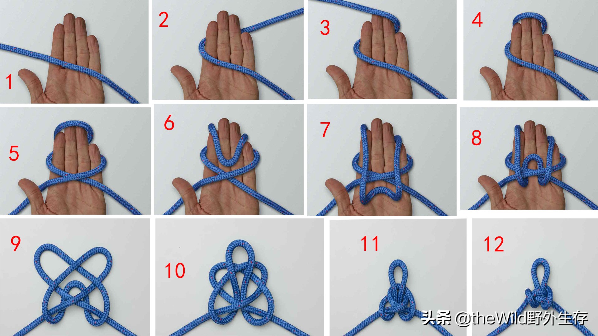 户外求生如何打绳结,野外生存25种绳结打法