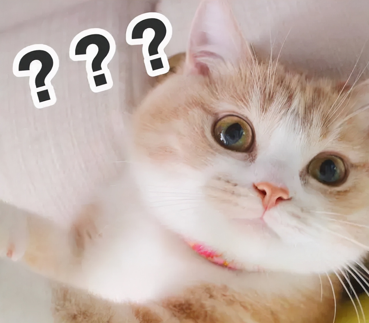 租房攻略注意什么,英国租房怎么维权