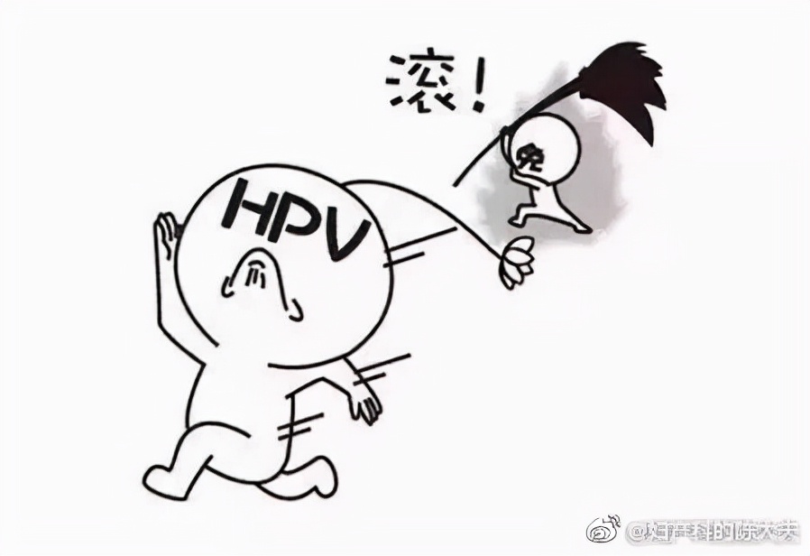 感染hpv什么症状会影响怀孕吗,hpv感染会降低怀孕几率吗