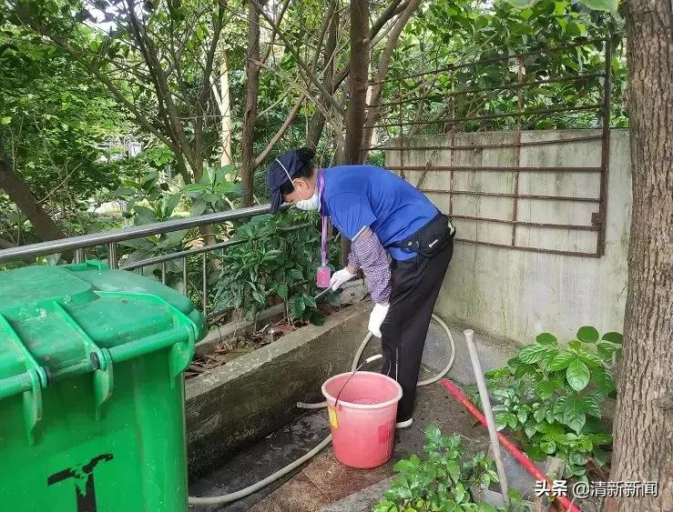 家里老鼠多有什么吓老鼠的神器,防止家里老鼠进屋