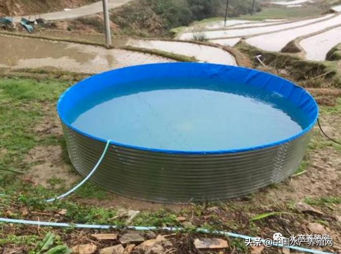 帆布池养殖需要注意什么,帆布池养殖要注意哪些