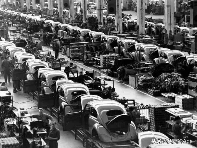 大黄蜂专属甲壳虫,大黄蜂甲壳虫系列