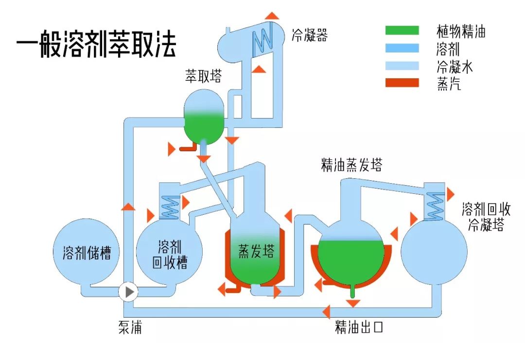 精油入门必备护肤品,平价单方精油推荐面部