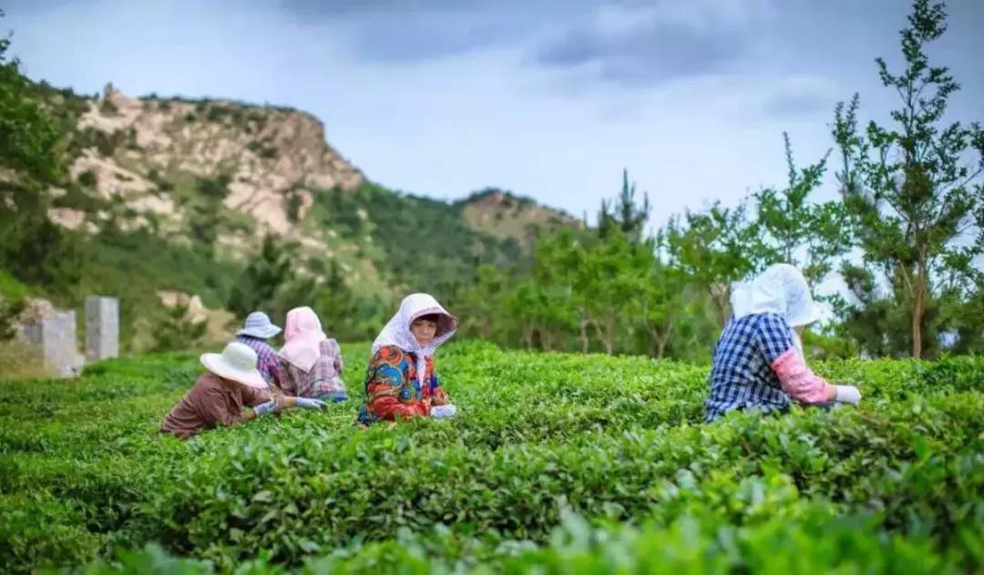 前方高能预警,前方高能预警有多高能