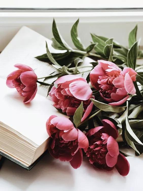 3.8女神节进入倒计时怎能缺少惊喜,3.8女神节最强攻略