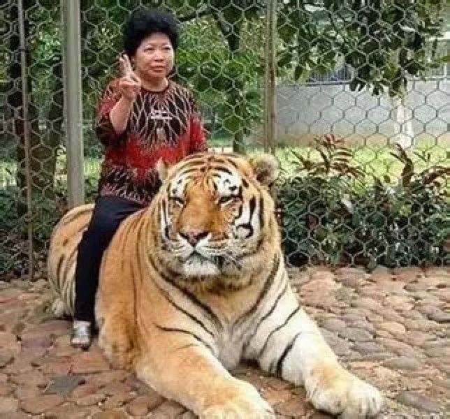 妈妈们拍的那些作妖照片,简直有毒。。。