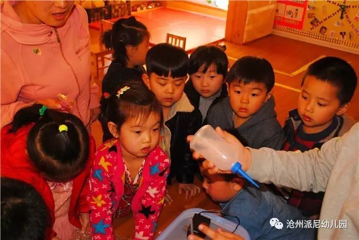 生命教育孵蛋,生命教育课程孵小鸡