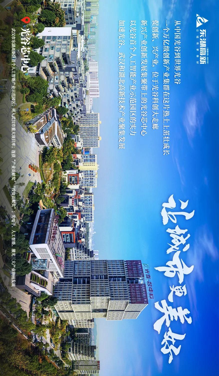 东湖高新集团的发展历程,图鉴图鉴