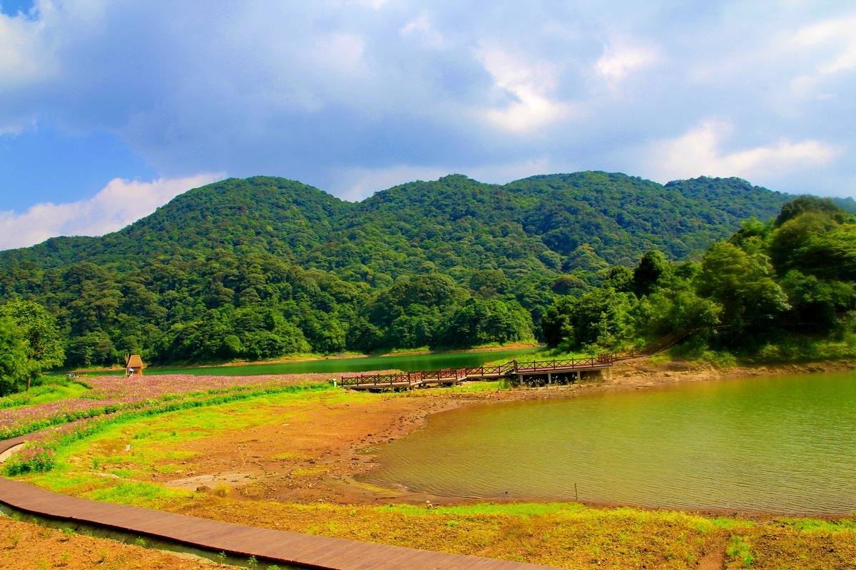 从化望谷温泉度假村门票预订,从化温泉酒店天露山温泉套票