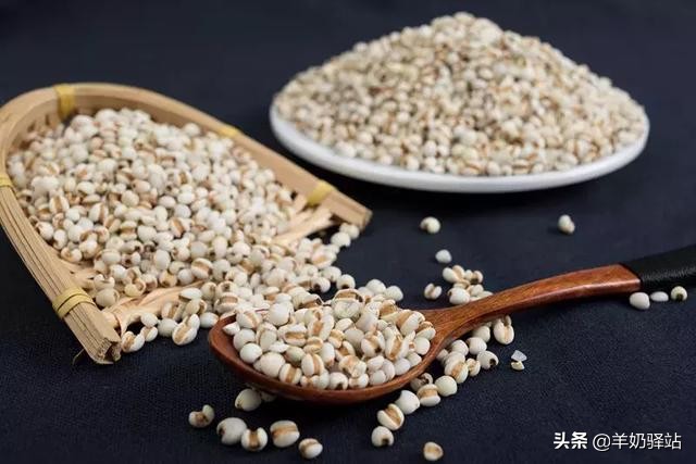 五谷杂粮蛋有什么营养价值,五谷杂粮大米饭的营养价值