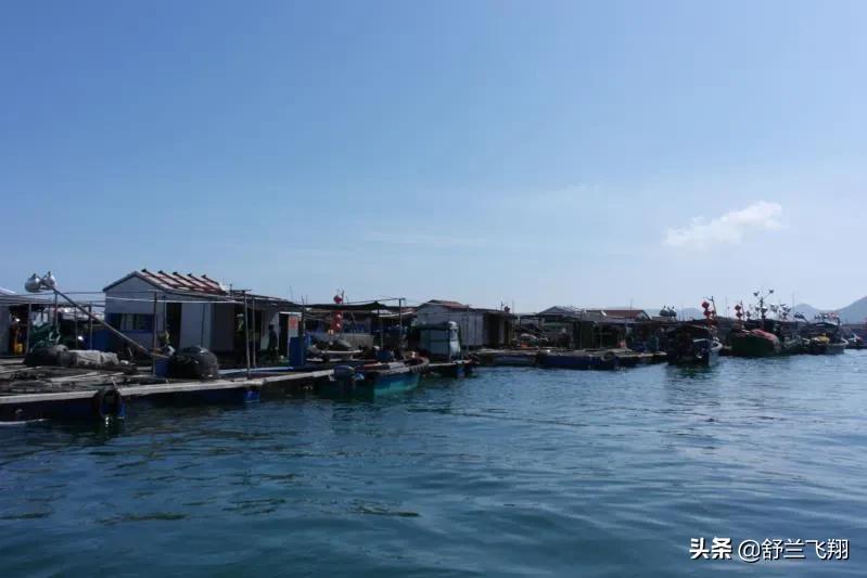 海南南湾猴岛上的猴子,海南著名的南湾猴岛在哪里