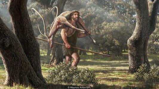 人类褪去体毛之后，裸体生活了100万年，为何后来又穿上了衣服？