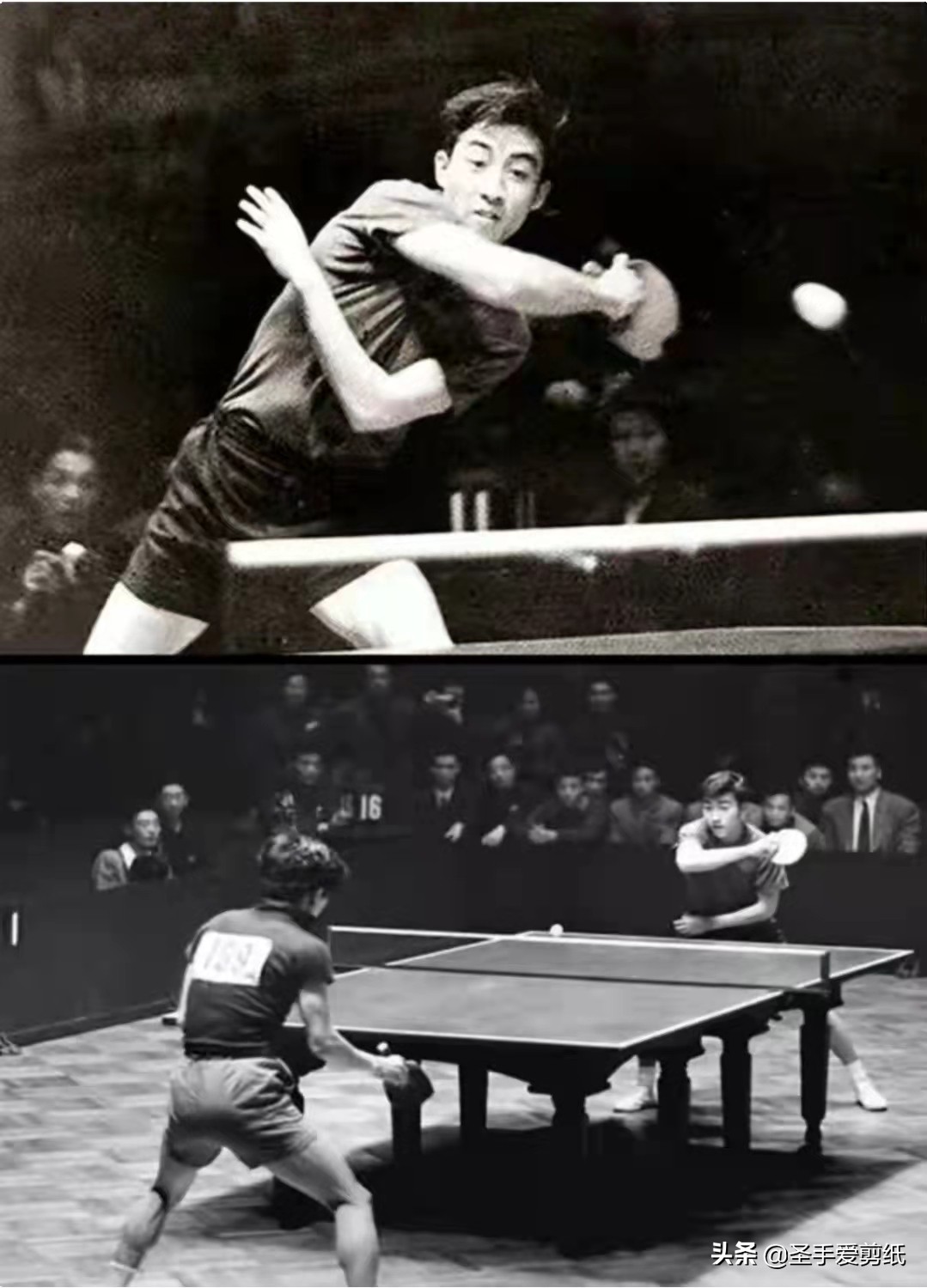 2017年乒乓球世乒赛女单决赛,乒乓球21年世乒赛决赛张本智和