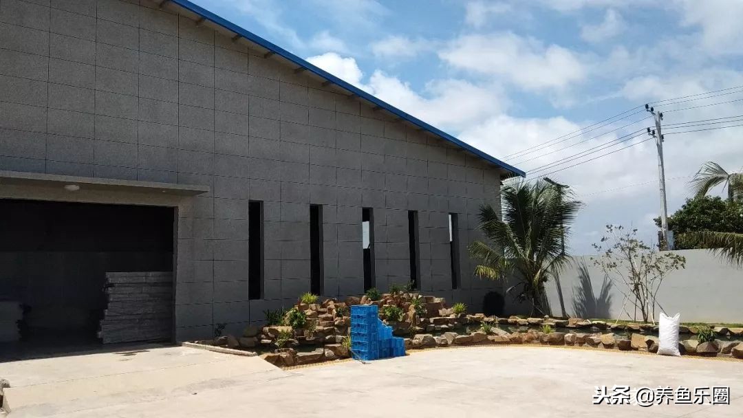 这位土豪家的渔场,光滤材就花了500多万,你确定不要见识一下?