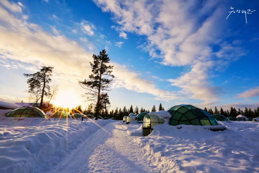 光遇欧若拉季新渴望的东西是什么,欧若拉最渴望的时候