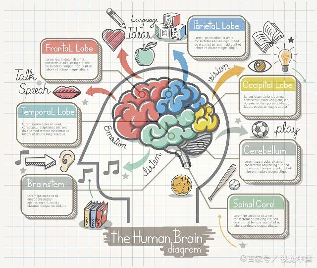 全脑快速阅读记忆法,全脑阅读识字视频教程
