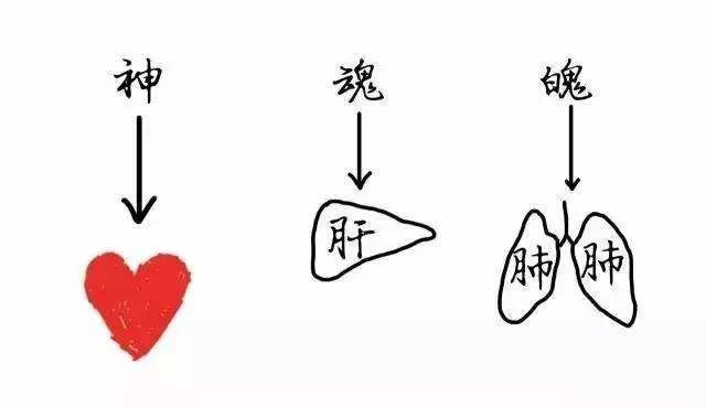 情绪起伏太大会引起心血管病吗,情志病与心血管