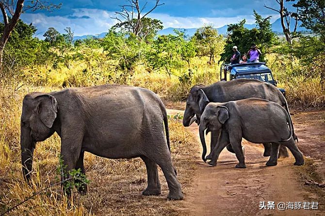 斯里兰卡旅游攻略机票,斯里兰卡当地购物攻略