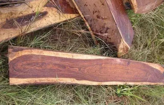 你们知道吗？非洲酸枝只是实木，不是红木