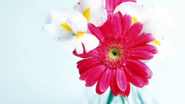 注定会互相伤害的星座情侣配对,不一定结婚只想轻松谈恋爱的星座