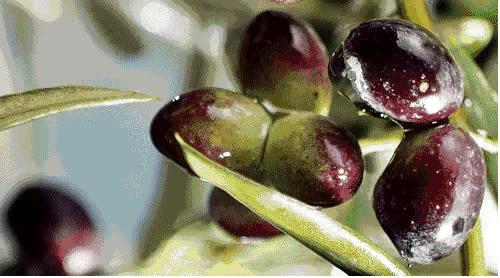 苏宁易购精品推荐,苏宁易购购物正品