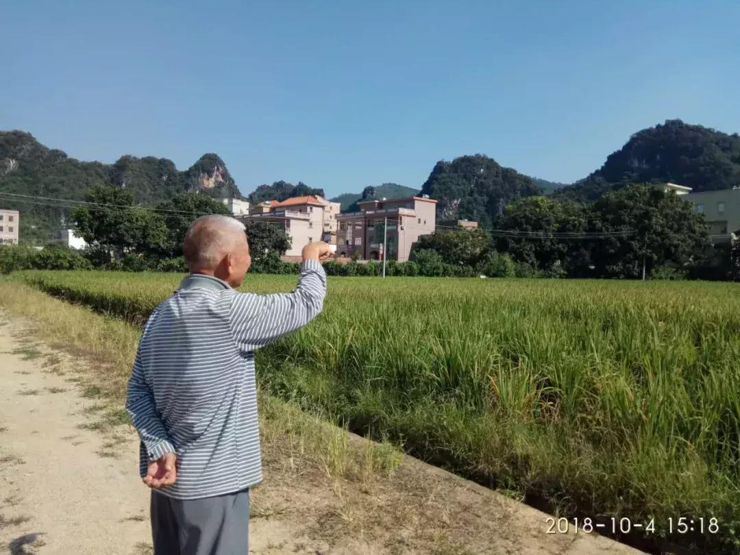 三江纪事｜曾经虎患成灾且看云浮“景阳岗”