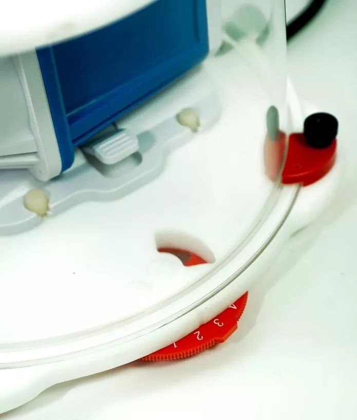 海精灵好物分享,海精灵蓝色珍品