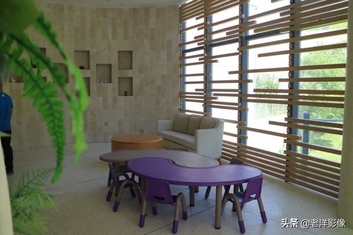 藏龙大别山度假酒店,罗田天堂寨藏龙大酒店价格