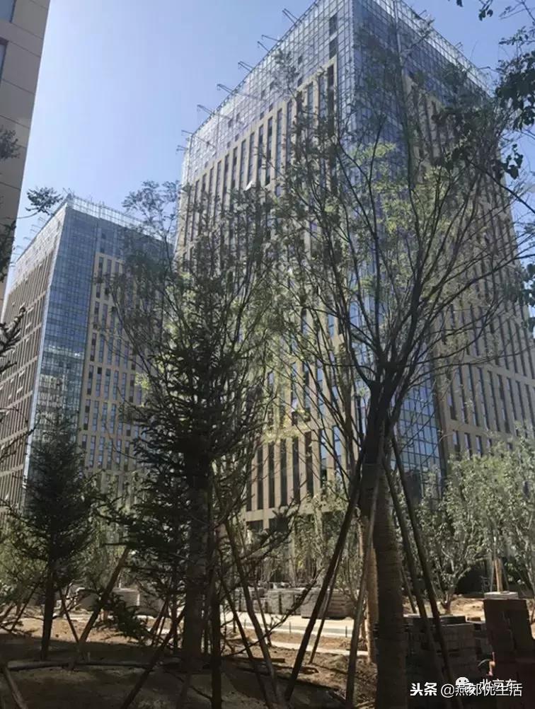 燕郊经济技术开发区属于省里吗,燕郊本土房地产