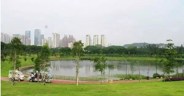 福田花卉世界最新消息,福田花卉世界改造