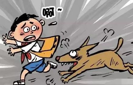 流浪狗咬了自己家小狗怎么办,民法典规定被狗咬了一般赔多少钱