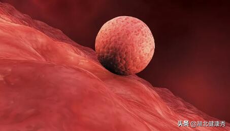 试管婴儿的10个真相,无论好坏都有,这大概是史上最良心的解答