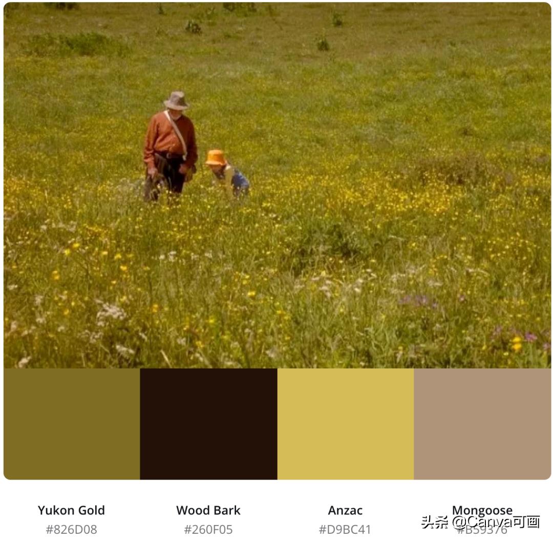 秋天配色插画秋高气爽,秋季高清插画