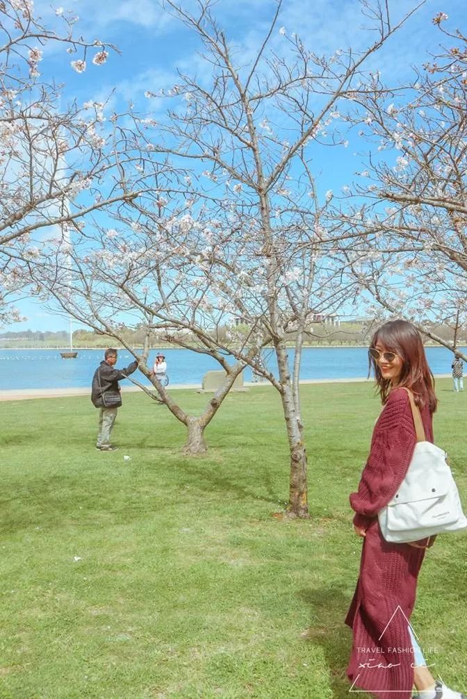 澳洲｜春意堪培拉，看袋鼠、品酒、赏花、住进动物的家