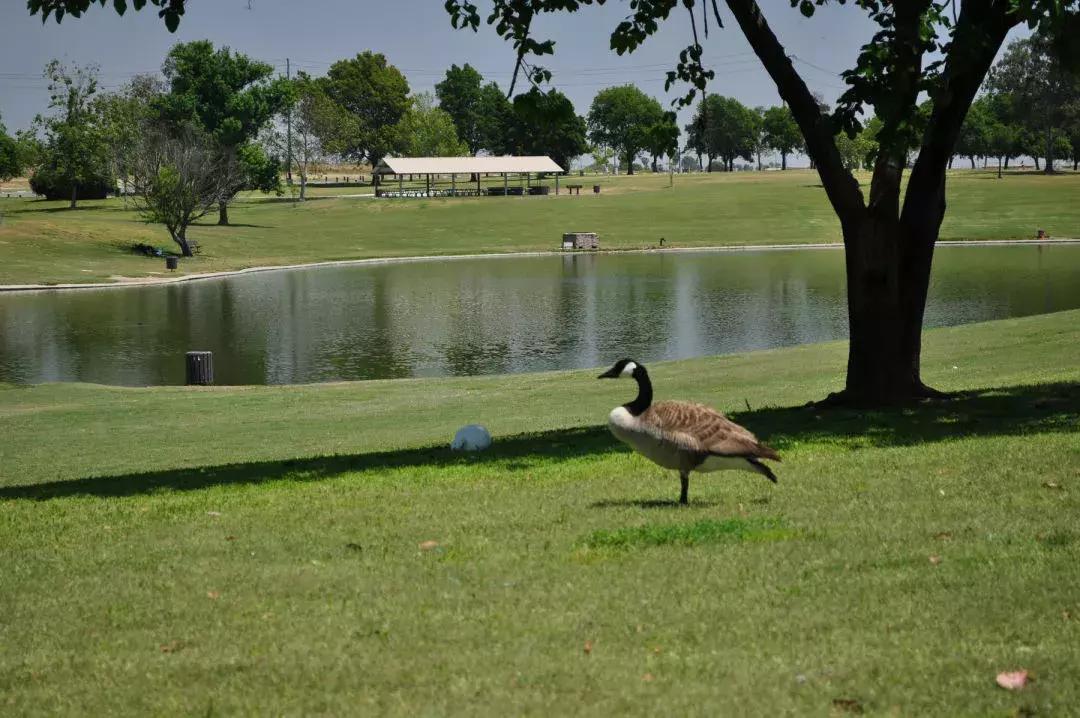 新建区毛坯房捡漏房,新房捡漏90平