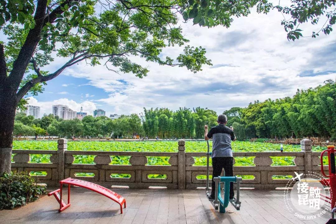 昆明富人住哪个区,住在昆明翠湖是怎样的体验