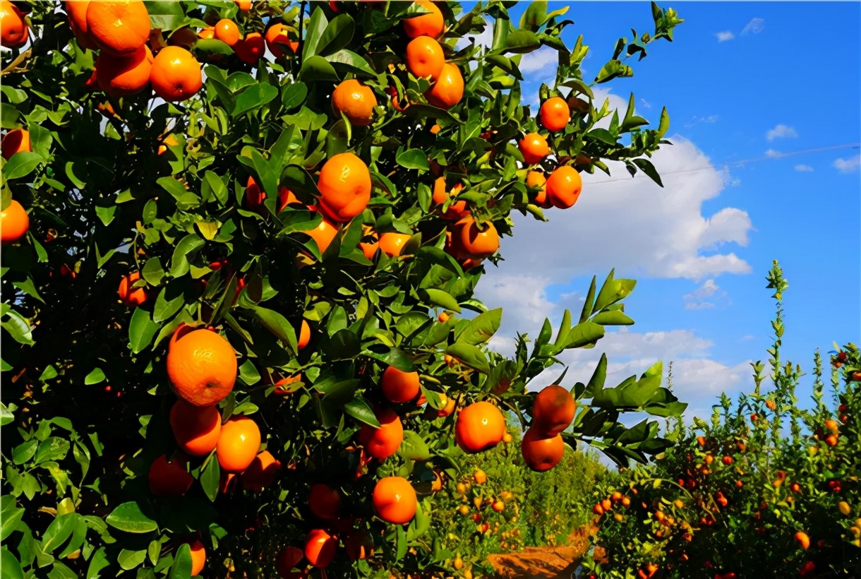 云南大理中千万大奖,大理刮出80万大奖