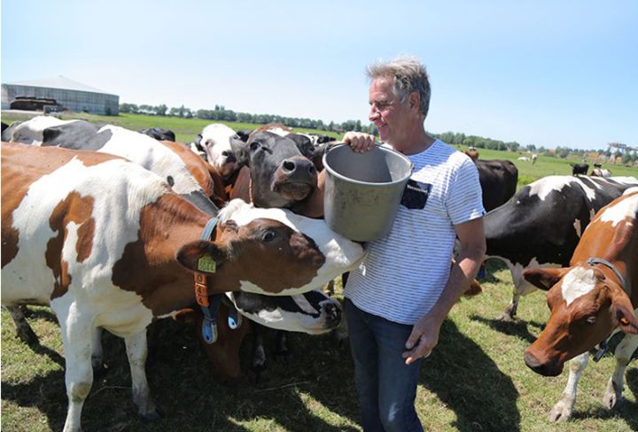 煎牛排时黄油炸到身上怎么办,煎牛排香料总是一煎就糊