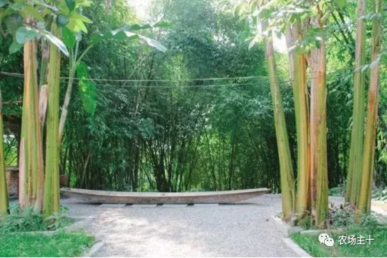 总共花了不到700元改造的废弃小院,花4万改造房子