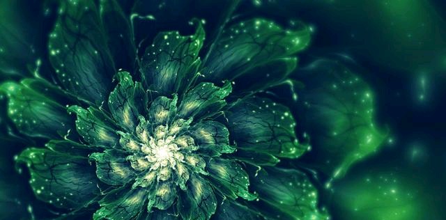 世界上最奇特的几何图形,科学家发现上帝指纹