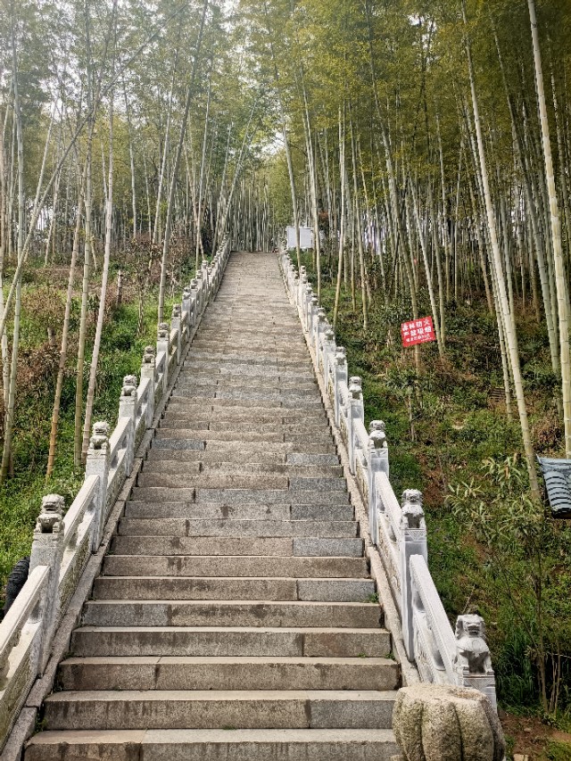 当我们受到欺负时该怎么办,当我们权益受到伤害时应该怎么办