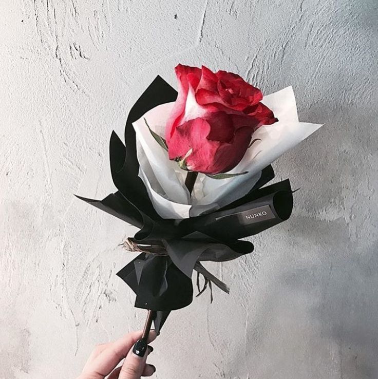 单支花束图片送女朋友,单支玫瑰花束怎么包装赶紧学起来