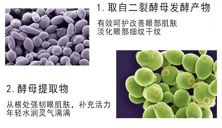 兰蔻和雅诗兰黛小棕瓶眼霜哪个好,雅诗兰黛小棕瓶眼霜和兰蔻哪款好