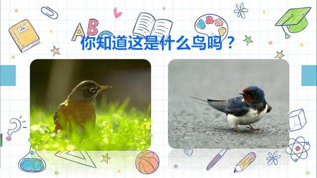 三年级语文燕子复习,三年级语文下册燕子老师整理笔记